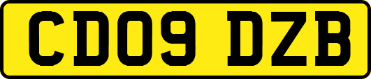 CD09DZB