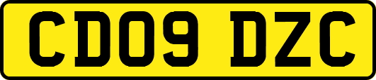 CD09DZC