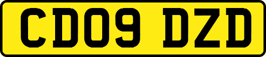 CD09DZD