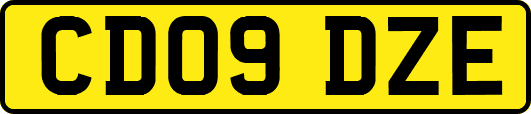 CD09DZE