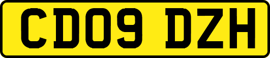 CD09DZH