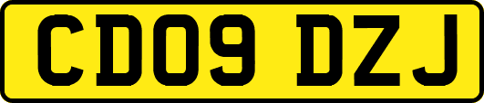 CD09DZJ