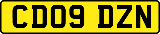 CD09DZN