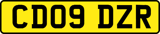 CD09DZR