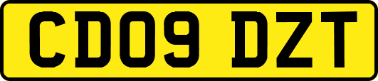 CD09DZT