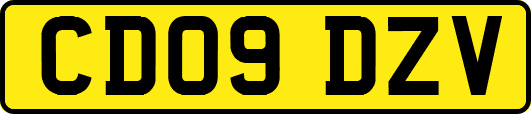 CD09DZV