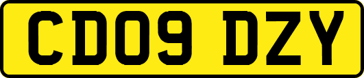 CD09DZY