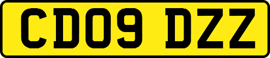 CD09DZZ