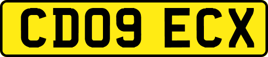 CD09ECX