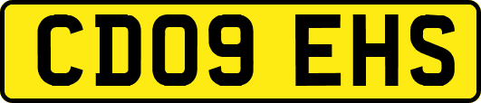 CD09EHS