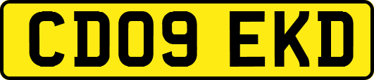 CD09EKD