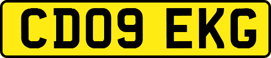 CD09EKG