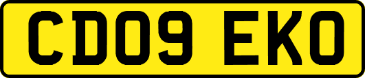 CD09EKO