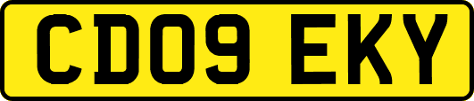 CD09EKY