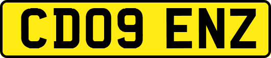 CD09ENZ