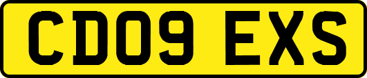 CD09EXS