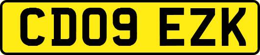 CD09EZK
