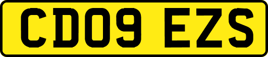 CD09EZS