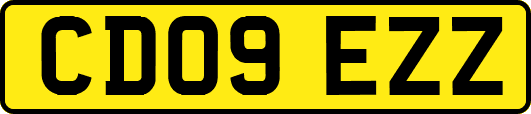 CD09EZZ