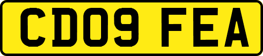 CD09FEA