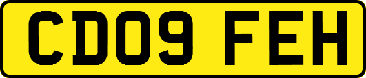 CD09FEH