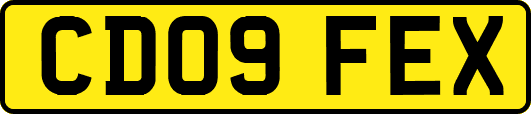 CD09FEX