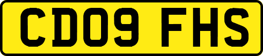 CD09FHS