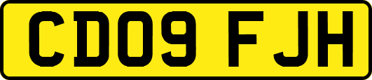 CD09FJH