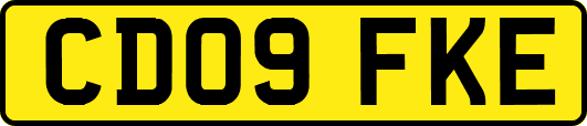 CD09FKE