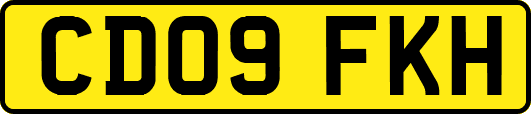 CD09FKH
