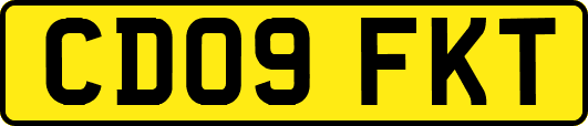 CD09FKT