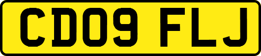 CD09FLJ