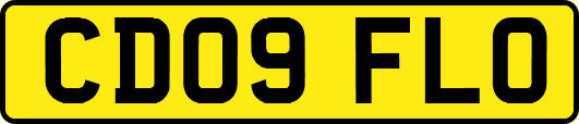 CD09FLO