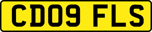 CD09FLS
