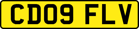 CD09FLV