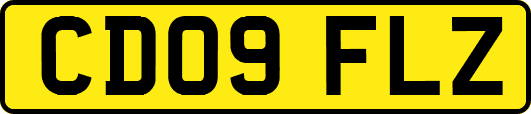CD09FLZ