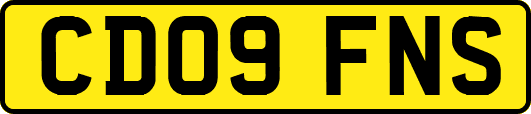 CD09FNS