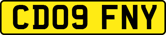 CD09FNY