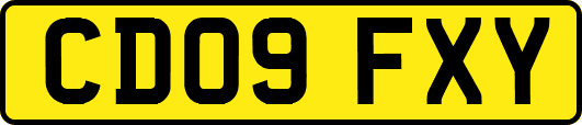 CD09FXY
