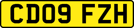 CD09FZH