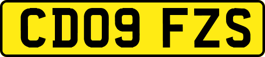 CD09FZS