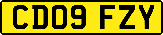 CD09FZY