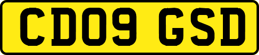 CD09GSD