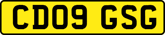 CD09GSG