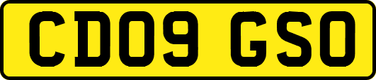 CD09GSO