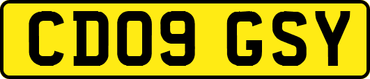CD09GSY