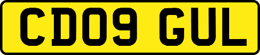 CD09GUL