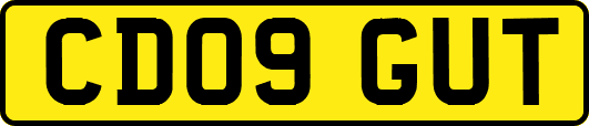 CD09GUT