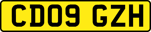 CD09GZH