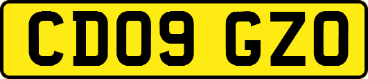 CD09GZO